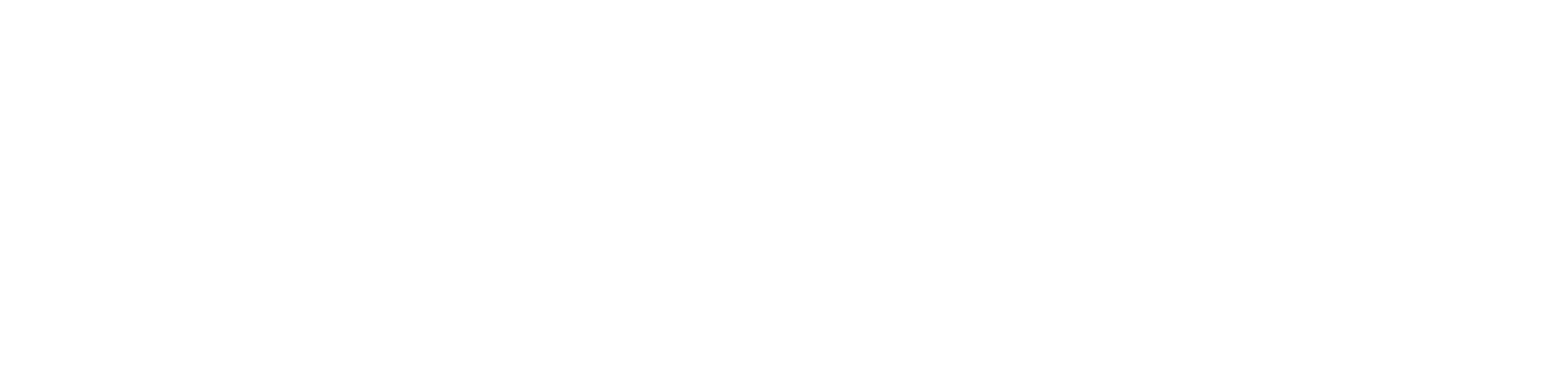 Drain King Plumbing Pro